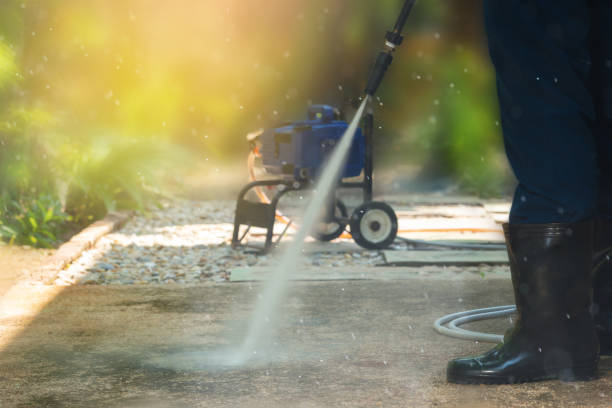 Best Animal Enclosure Cleaning  in Woodville, WI
